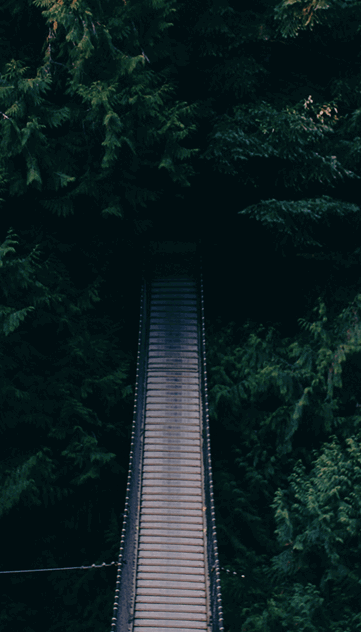 El Renacer del Emprendimiento Colombiano: Nuevas Oportunidades y Apoyo Estatal Impulsan la Economía Local